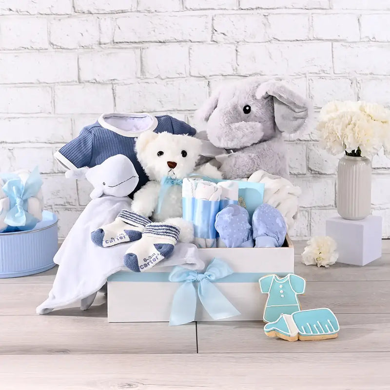 Baby Boy Gift Baskets