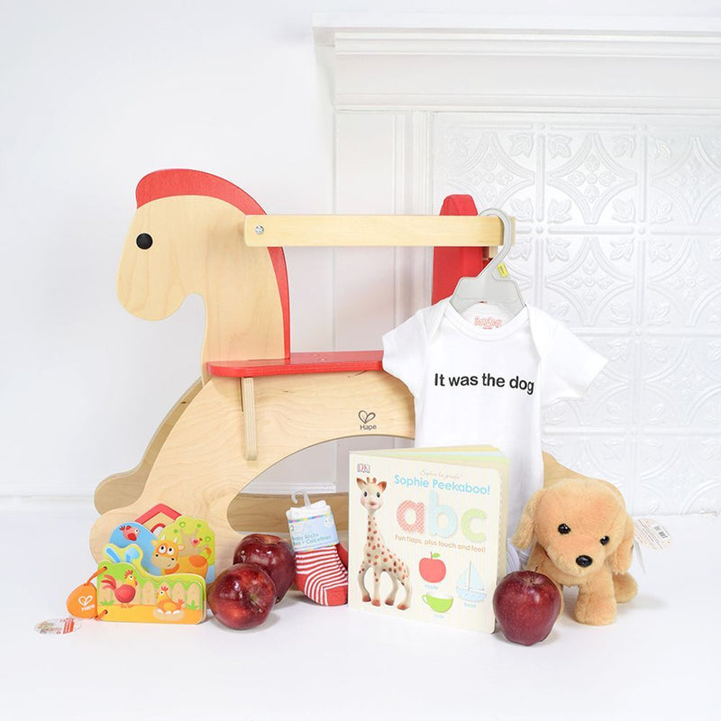Baby’s First Alphabet Gift Set, baby gift baskets, baby gifts, gift baskets
